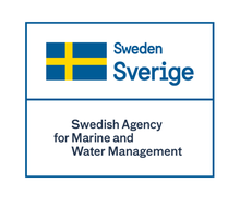 Swedish flag and SwAM logo