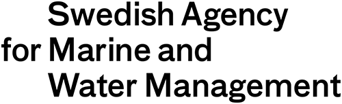 English Logo Black. Illustration.