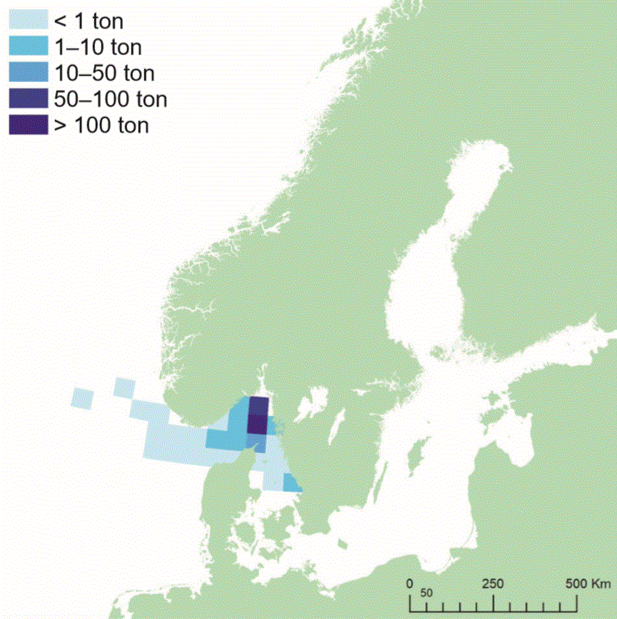 Fångstområden för rödtunga. Illustration, karta.