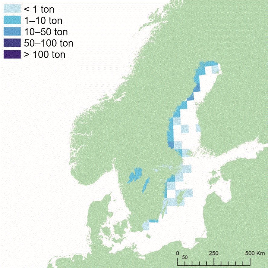 Fångstområde för sik. Illustration, karta.