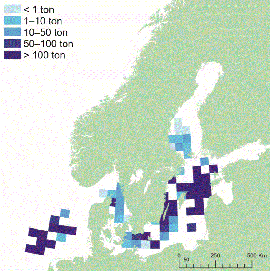 Fångstområde för skarpsill. Illustration, karta.