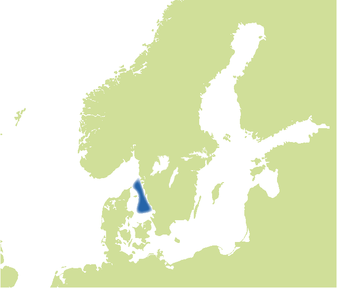 Fångstområde för fjärsing. Illustration, karta.