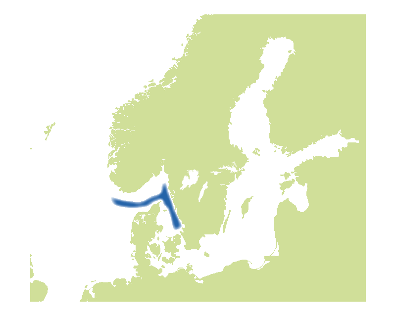 Svenska yrkesfiskets huvudsakliga fångstområden för havskatt. Illustration av karta.