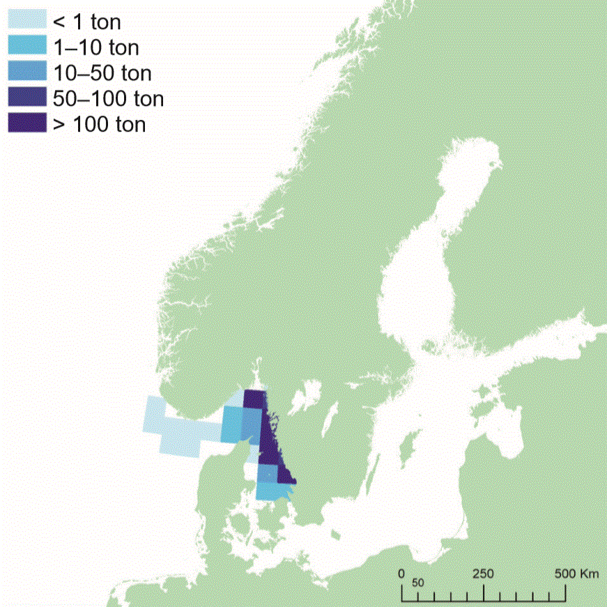 Svenska yrkesfiskets huvudsakliga fångstområden för havskräfta. Illustration av karta.