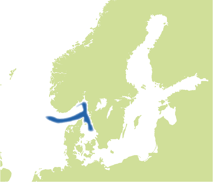 Fångstområde för kummel. Illustration, karta.