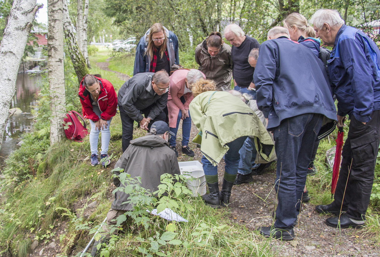 illustration för verktyget naturguideutbildning