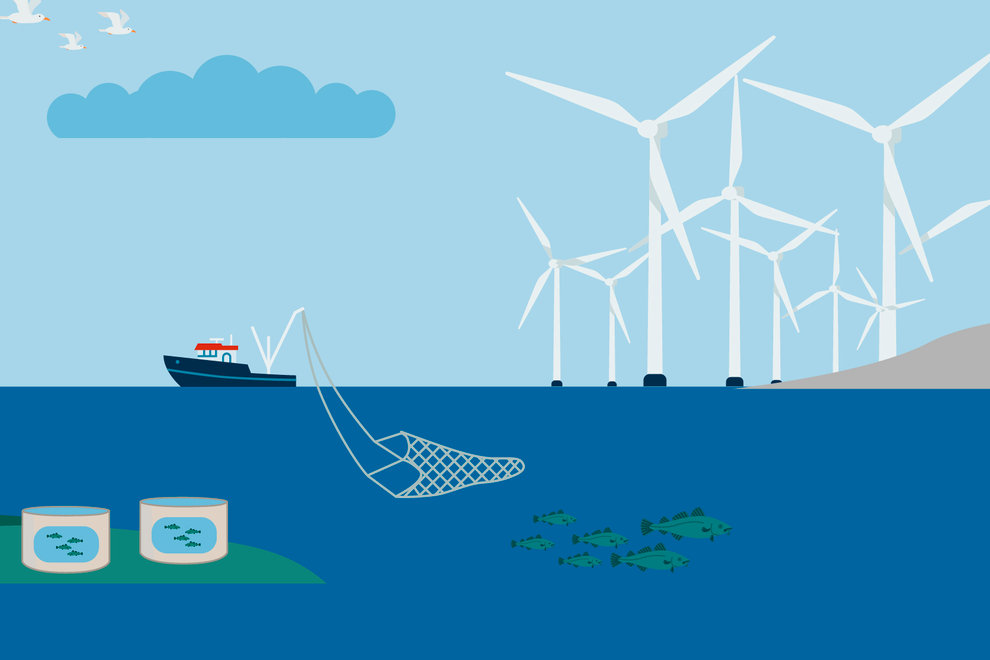 Illustration av havsbaserad vindkraft, fiskebåt, vattenburk och naturvärden.