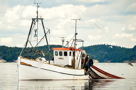 Fiskebåt Lysekil