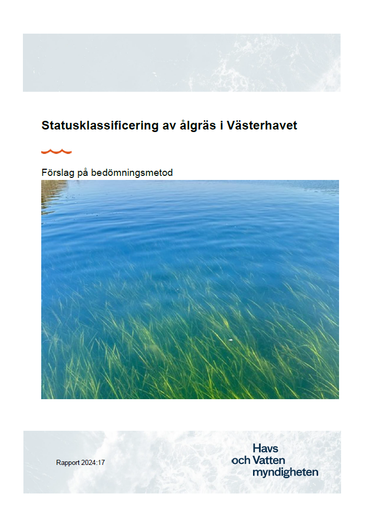 Omslag för publikation