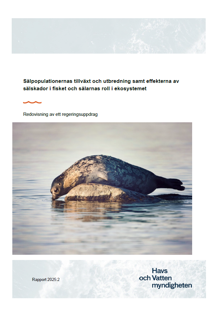 Omslag för publikation