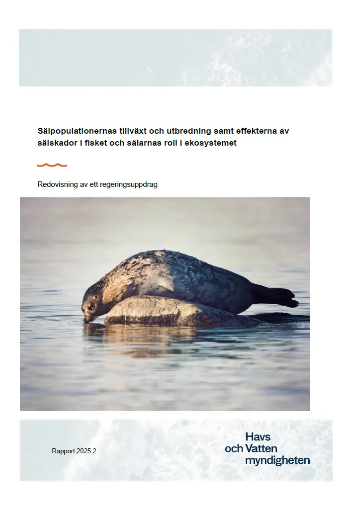 Omslag för publikation
