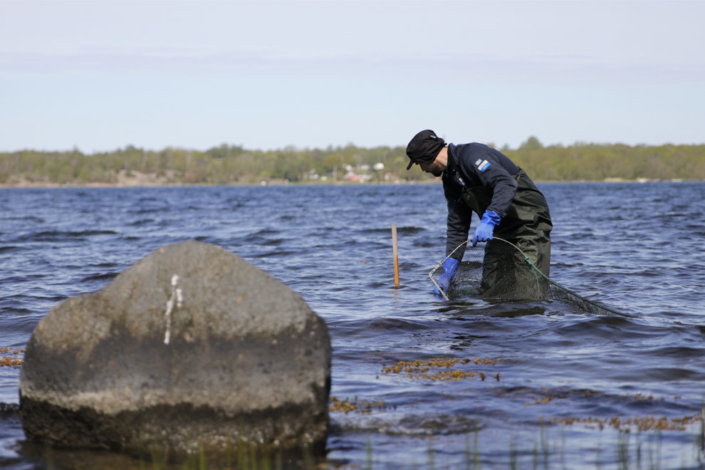 HaV har det övergripande ansvaret för svenskt genomförande av EU:s fiskerikontroll i Sverige. Foto: HaV