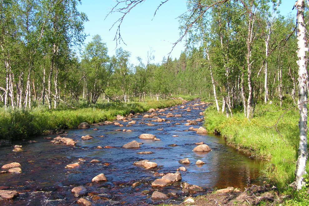 Haljujokis biflöde. Foto: Jörgen Naalisvaara/Länsstyrelsen i Norrbotten