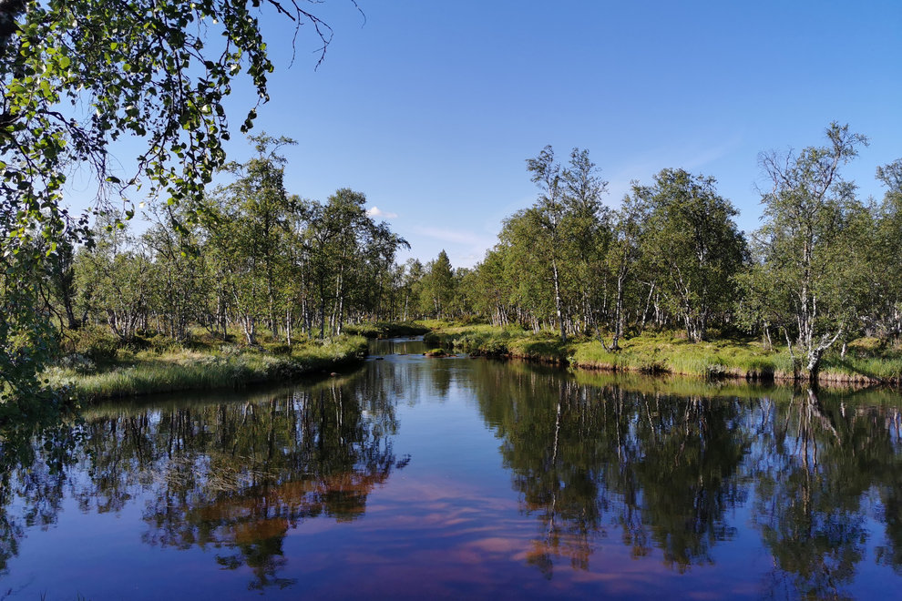 Biflöde till Merasjoki. Foto: Jörgen Naalisvaara/Länsstyrelsen i Norrbotten