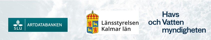 logotyper för arrangörerna av konferens