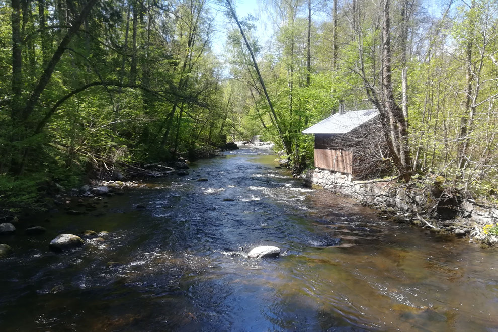 Återställda vattenflöden och ökad biologisk mångfald är målet för Open Rivers-programmet. Foto: HaV