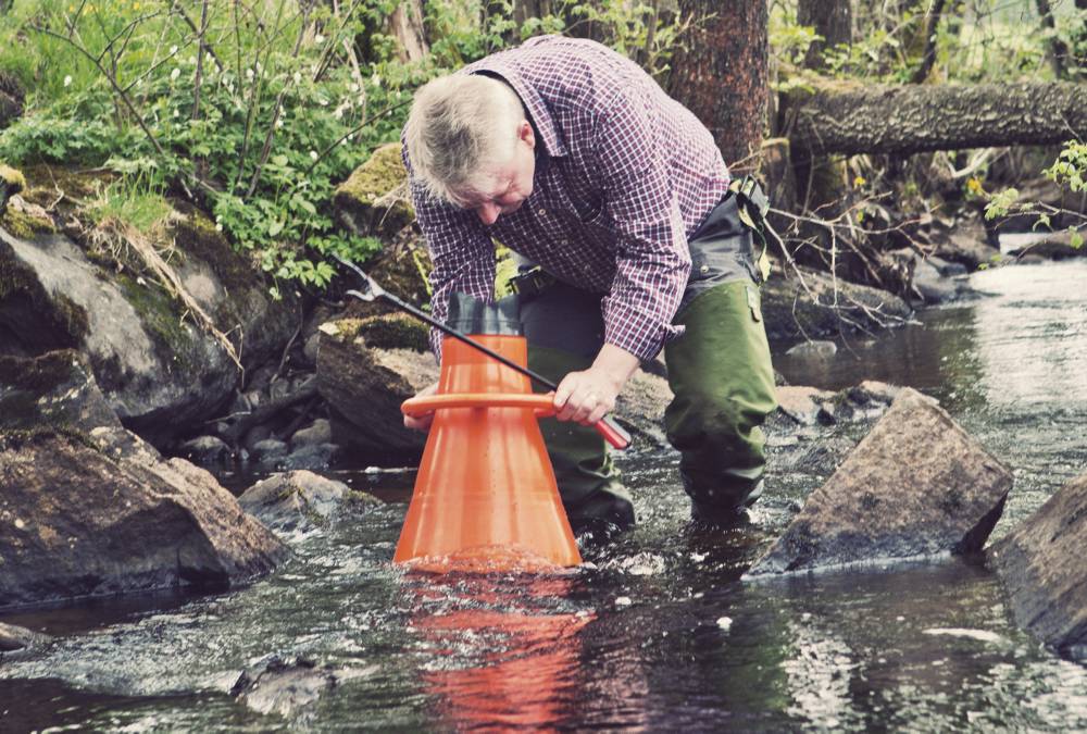 Med hjälp av undervattenskikare görs inventeringar av bestånden av den hotade flodpärlmusslan. Foto: Maja Kristin Nylander