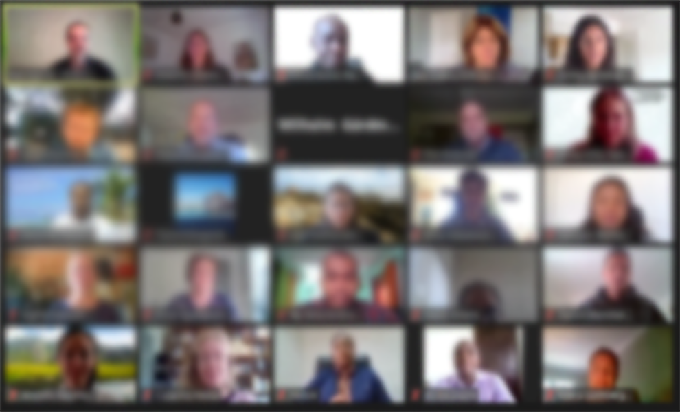Online meeting room showing 25 of the 52 participants