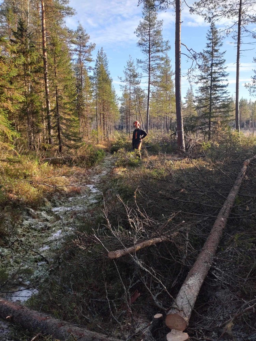 Foto: Olov Näslund