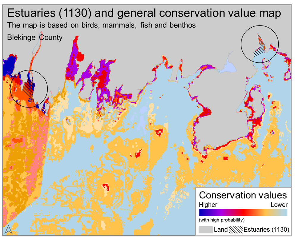 Figure 2. General conservation value map over an area of southern Sweden (Blekinge), including two estuaries