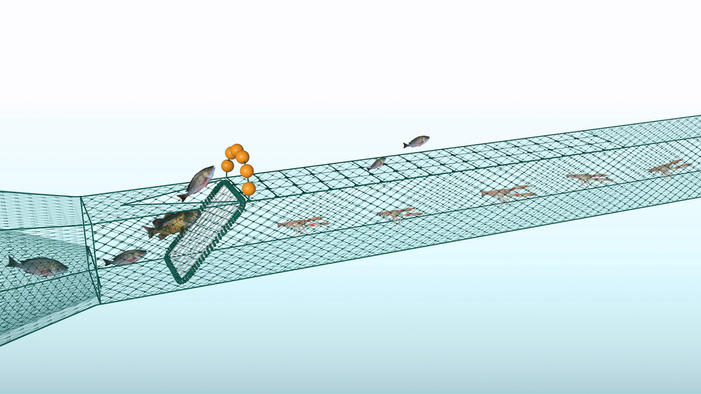 Kräfttrål. Illustration
