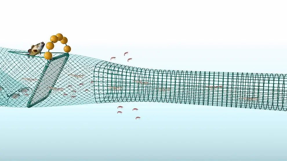Kräfttrål. Illustration.