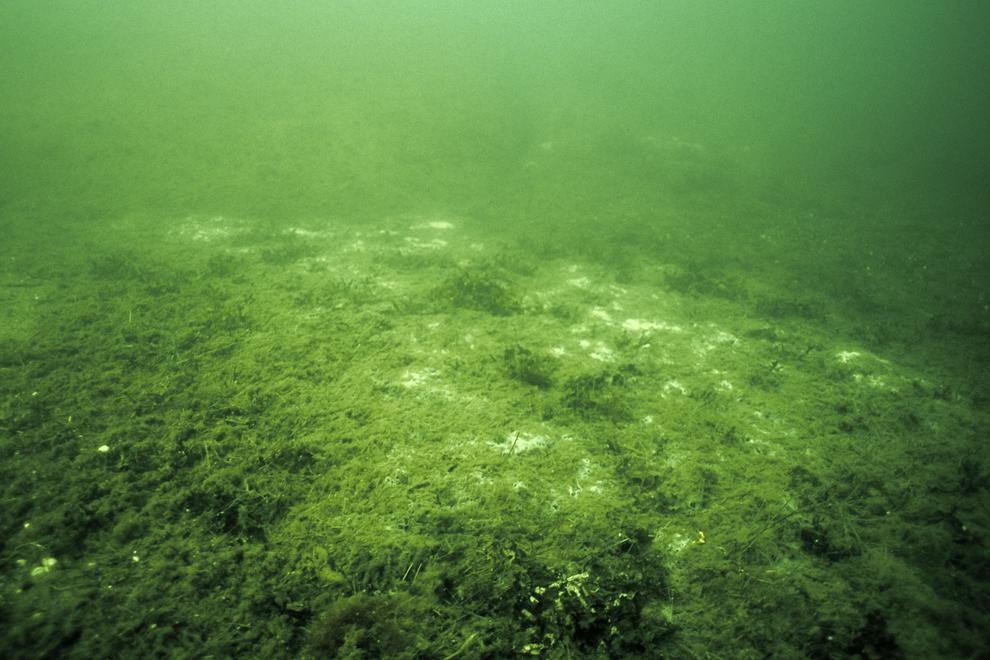 illustrerar vattnets kemiska egenskaper