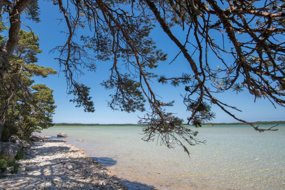 Bästeträsk Gotland