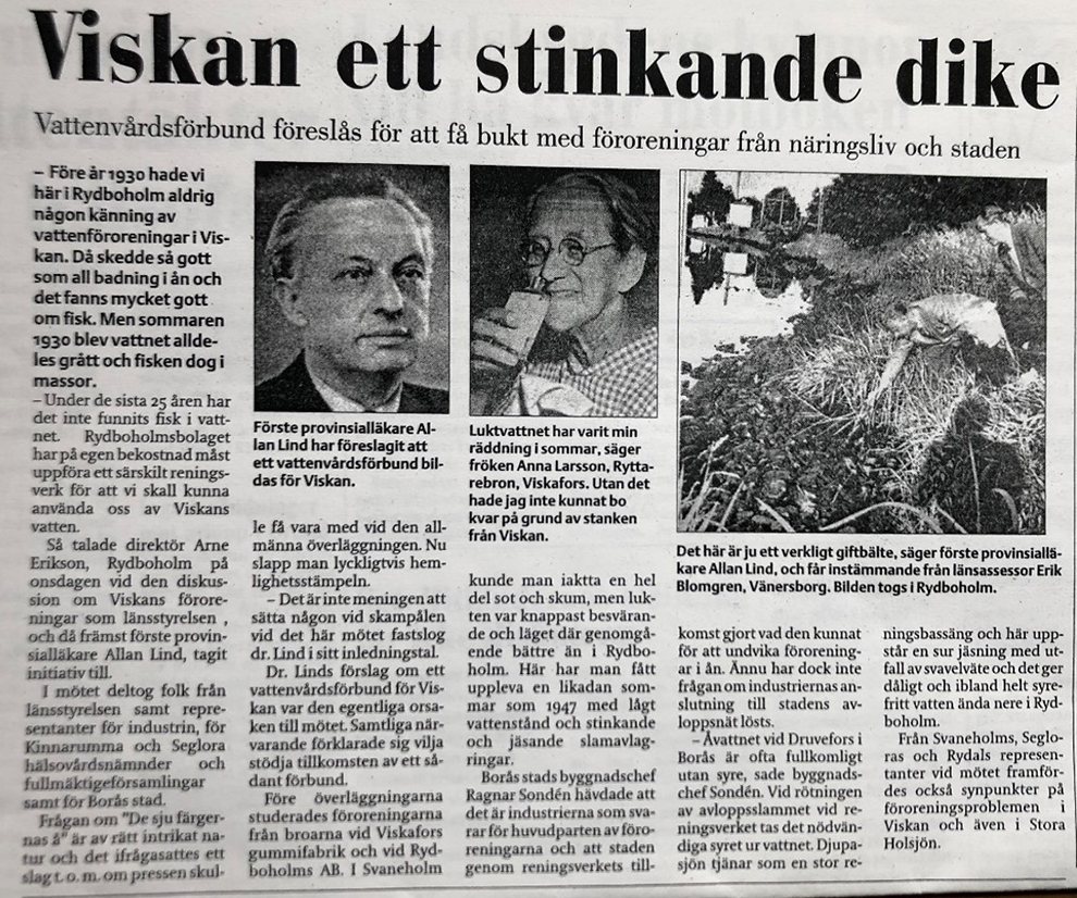 Artikel ur Borås Tidning 10 september 1955 Viskan ett stinkande dike.