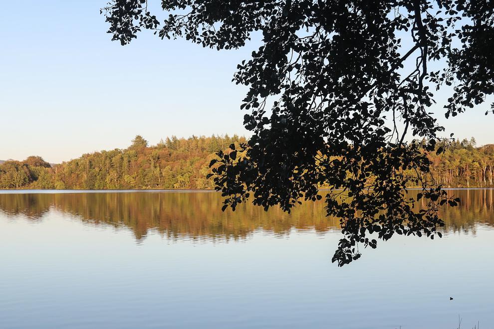 En gren med löv hänger i bildens övre hörn. Grenen är i skugga. Bakom grenen syns en spegelblank sjö framför tät höstig skog. Skogen reflekteras i vattnet. Himlen är ljust blå och solljuset lyser klart.