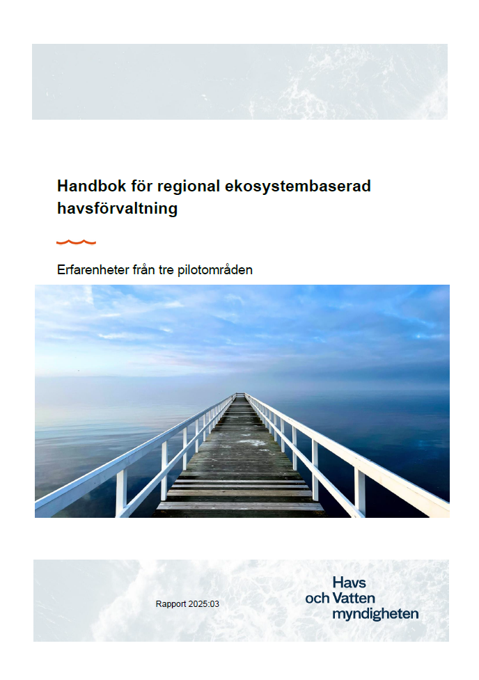 Omslag för publikation