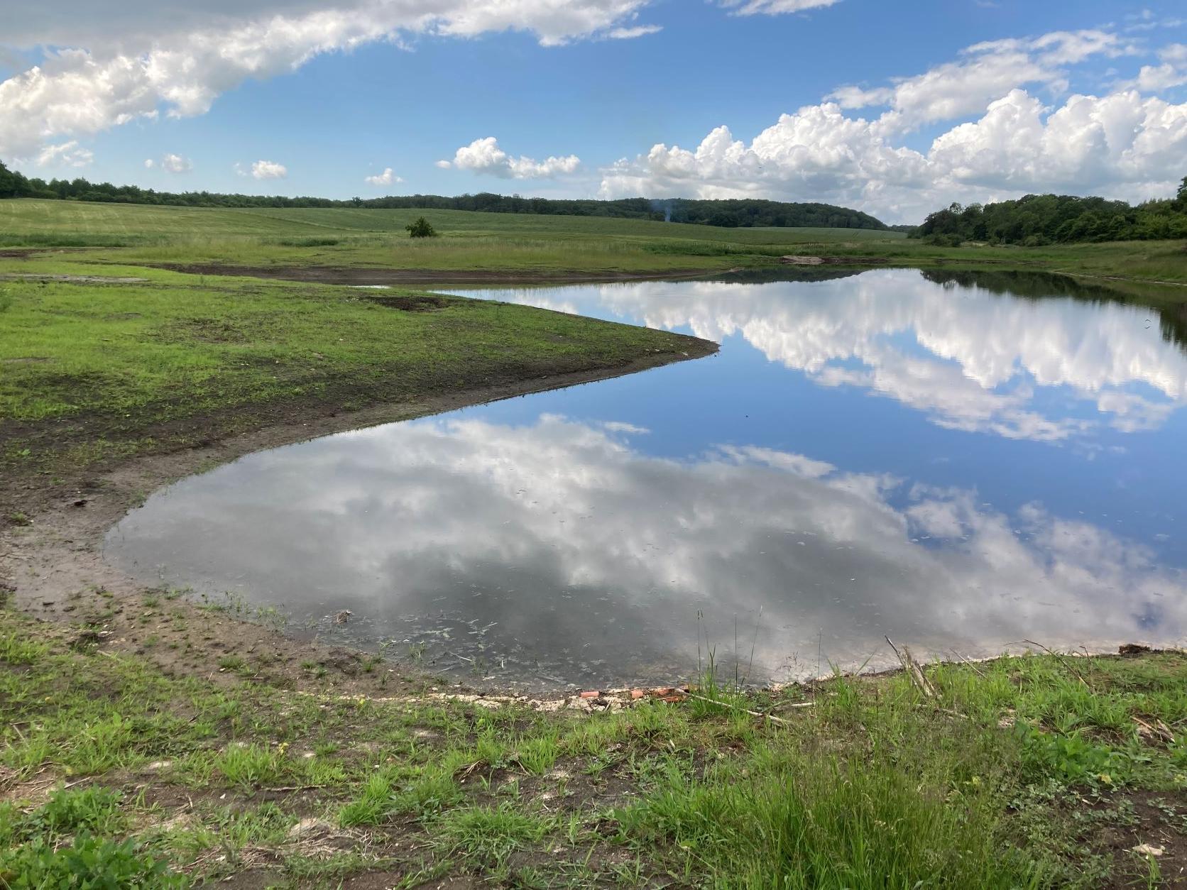 Svaneholm våtmark ingår också i Sydväståprojektet. Foto: Ammy Göransson