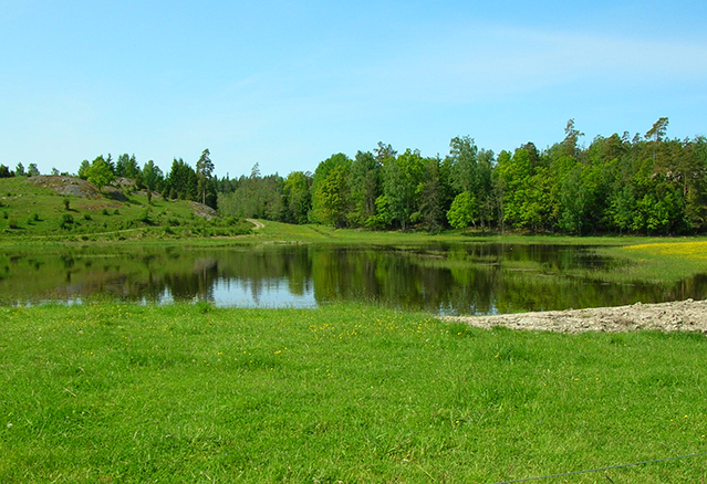 Nyköpingsåarnas Vattenvårdsförbund