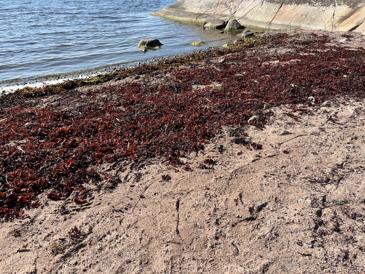 Zarahs strand på Bullerön