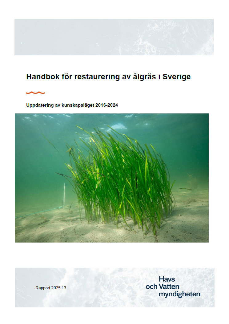 Omslag till rapport.