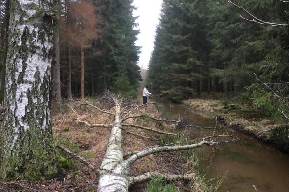 Person står vid ett kärr i skogsmiljö.
