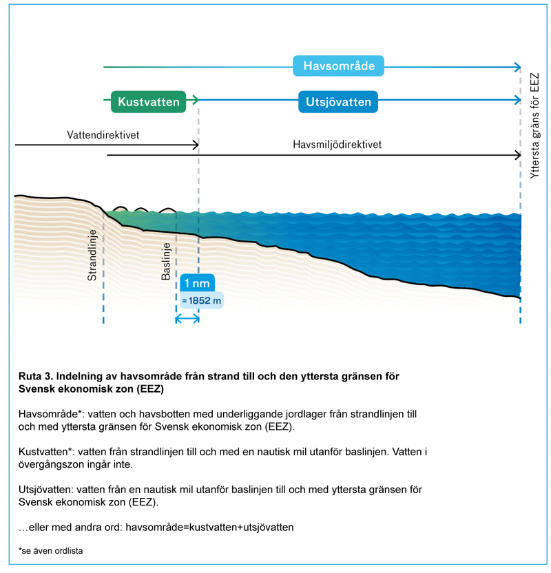 Havsmiljödirektivet och vattendirektivet överlappar varandra i kustzonen. 