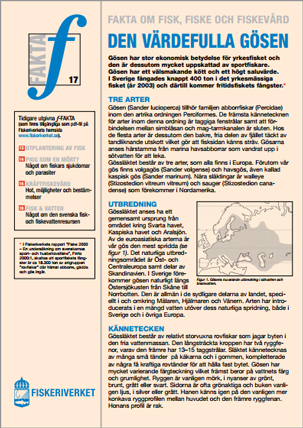 Omslag till rapport. Illustration.