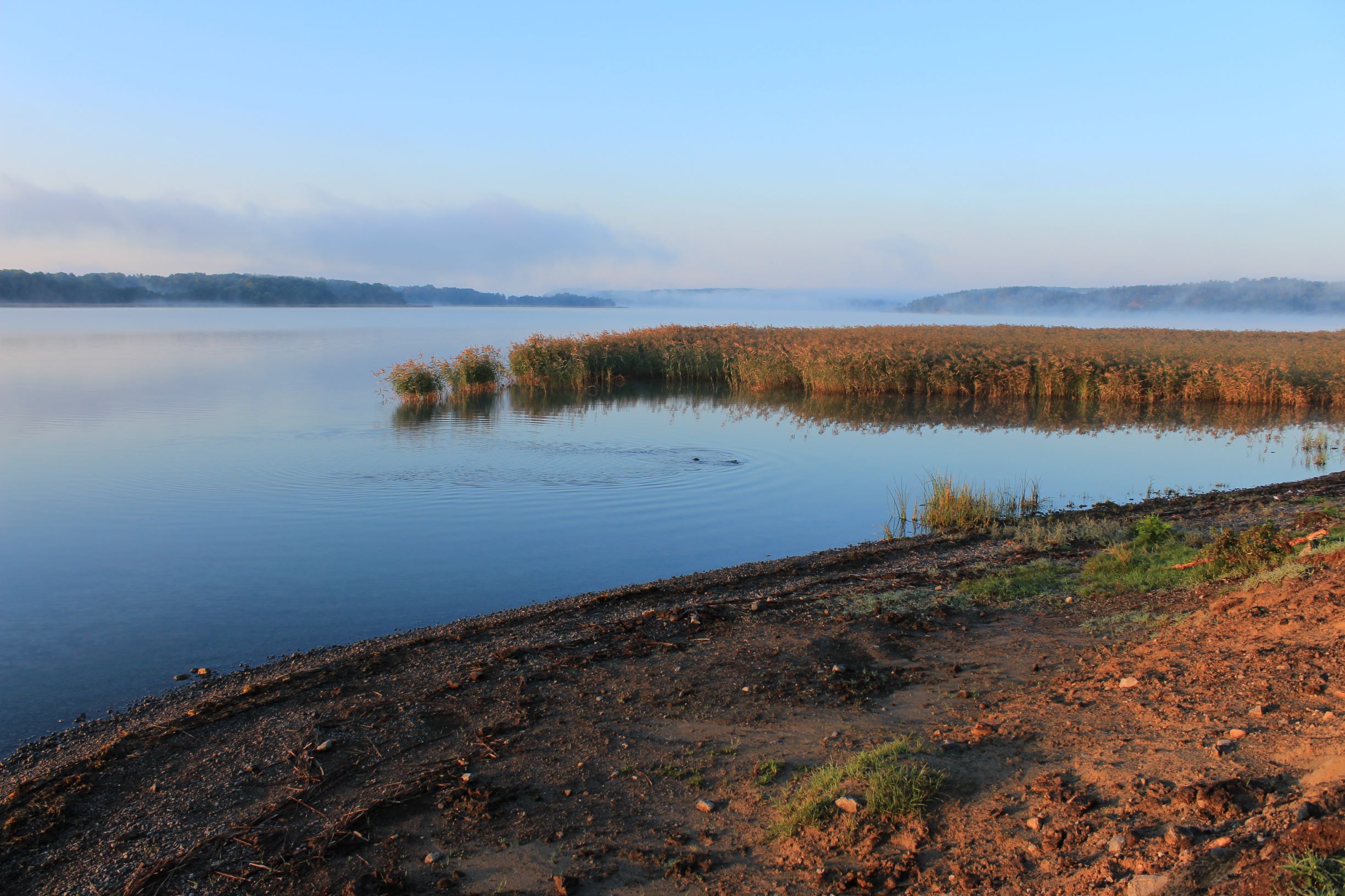 Utsikt över Stavbofjärden från ett naturreservat som ligger i pilotområdet. Foto: Mikael Lindén, naturvårdare i kommunen.