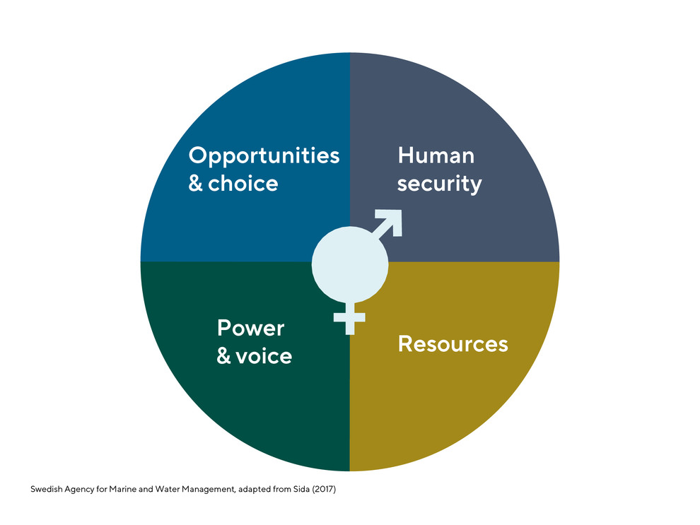 Disc divided in four sectors: Opportunities & choice, Human security, Resources, Power & voice. At the centre a gender symbol for man and woman.