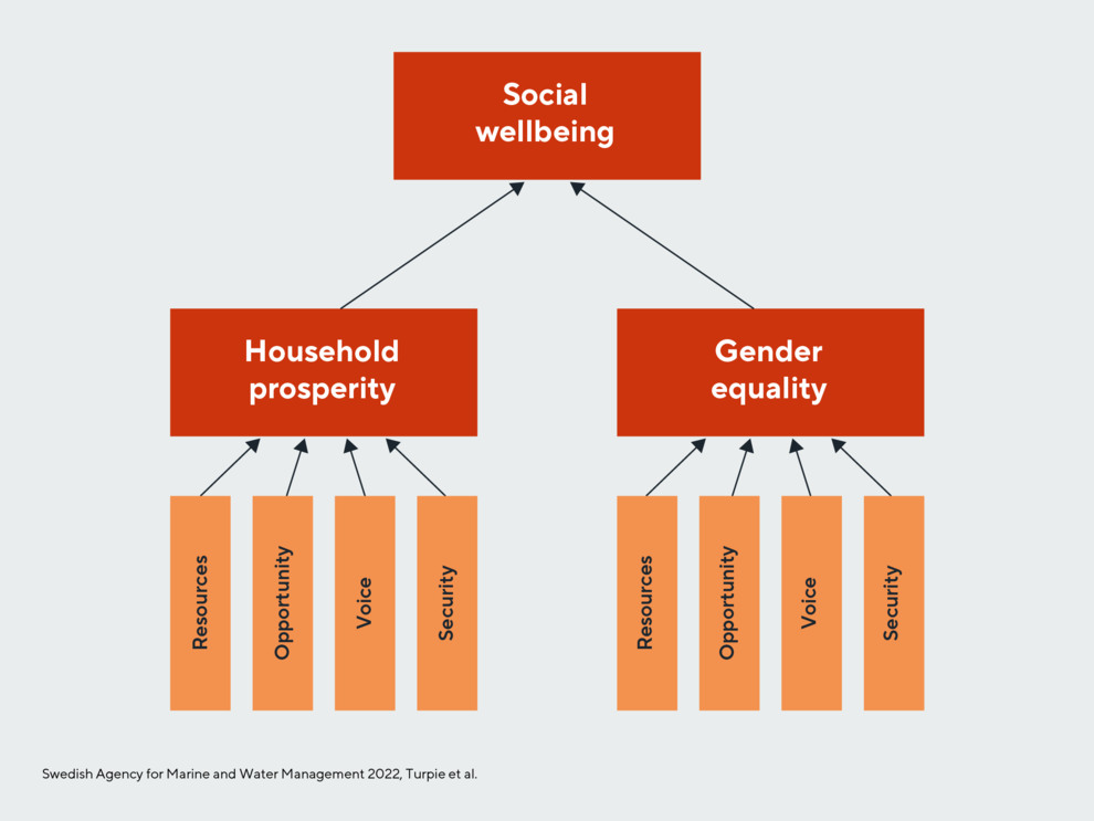 Tree diagram, in red and orange: Social wellbeing top, with 2 sub-groups Household prosperity and Gender equality, each with sub-sub-groups Resources, Opportunity, Voice, Security.