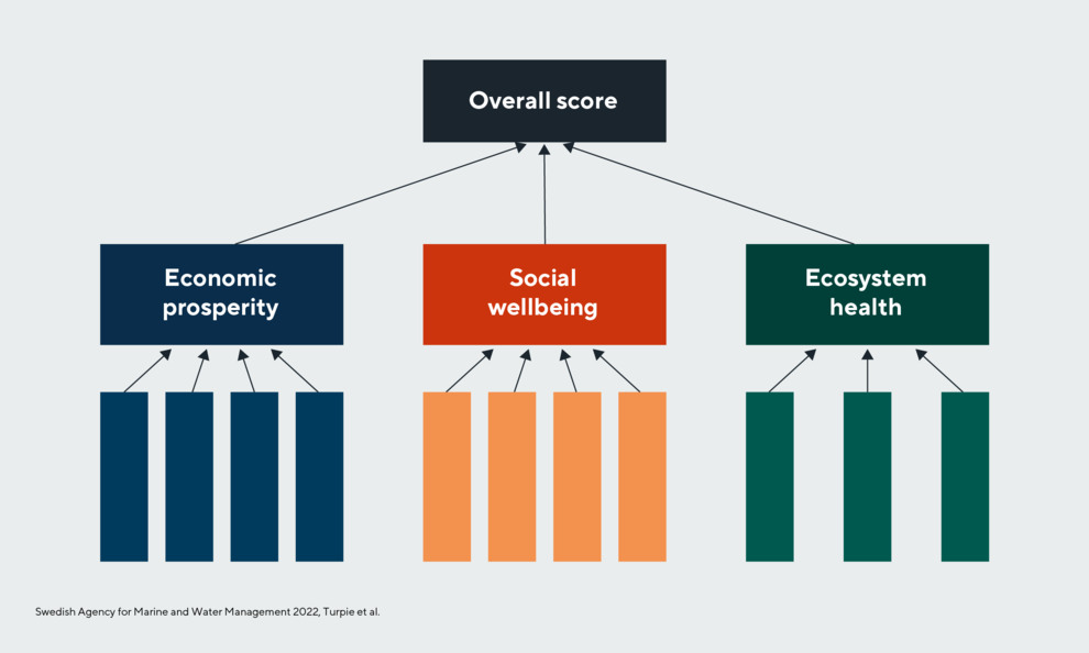 Tree diagram, top Overall score in black, 3 sub-groups Economic prosperity, Social wellbeing, Ecosystem health. Sub-sub-groups empty.