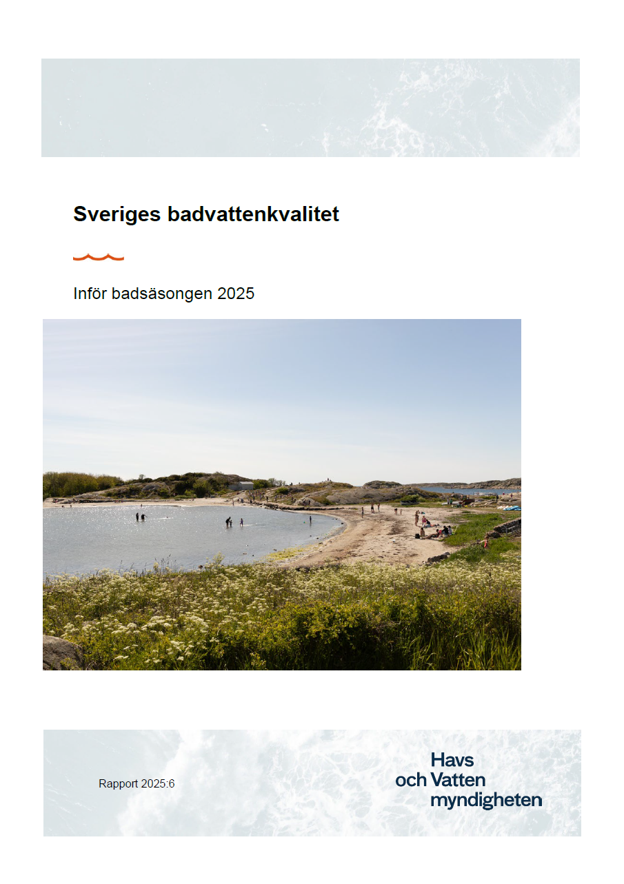 Omslag för publikation