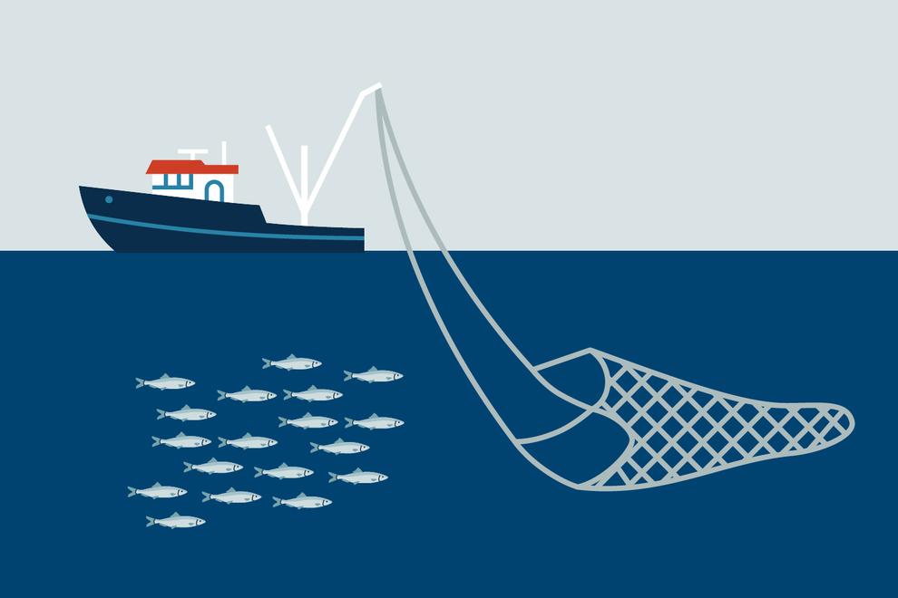 Illustration fiskefartug med, fiskstim i vattnet