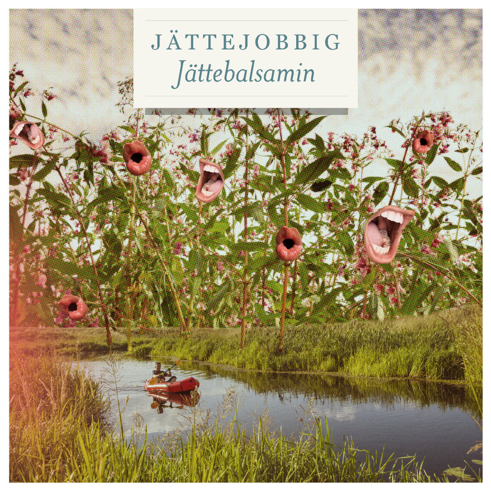 En båt i ett vattenområde omgivet av högt gräs.