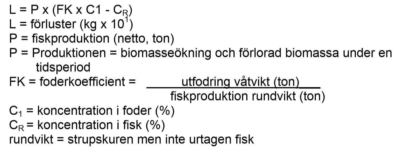 Illustration beräkningsmodell.