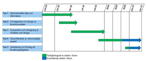 Översikt tidplan faser 