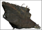 Fotogrammetri: Ocean Discovery. Bild 7