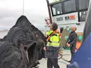 Spökgarnet som lyfts upp ur havet läggs på fartyget för att senare transporteras till Fiskareföreningen Norden i Smögen för återvinning. Foto: Christer Larsson. Bild 4.