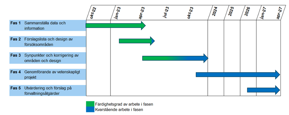 Illustration av fem faser i processen.